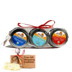 Assorted Tea Sampler (Mini)