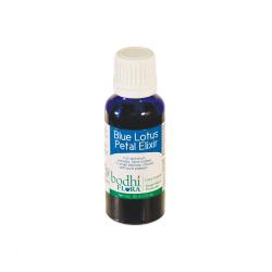 Blue Lotus Petal Elixir