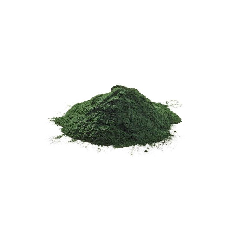 Chlorella Powder, Organic, Raw & Non GMO