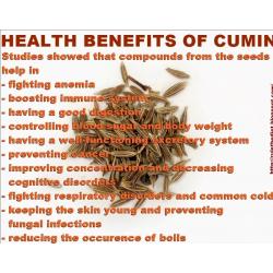 Cumin Seed Premium Organic
