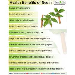 Organic Neem Oil