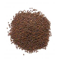 Mustard Seed Brown, Organic